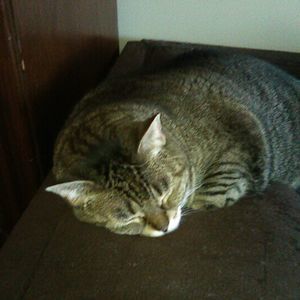 Meet your Posher, Maryann